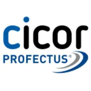 Cicor Profectus Electronic GmbH logo