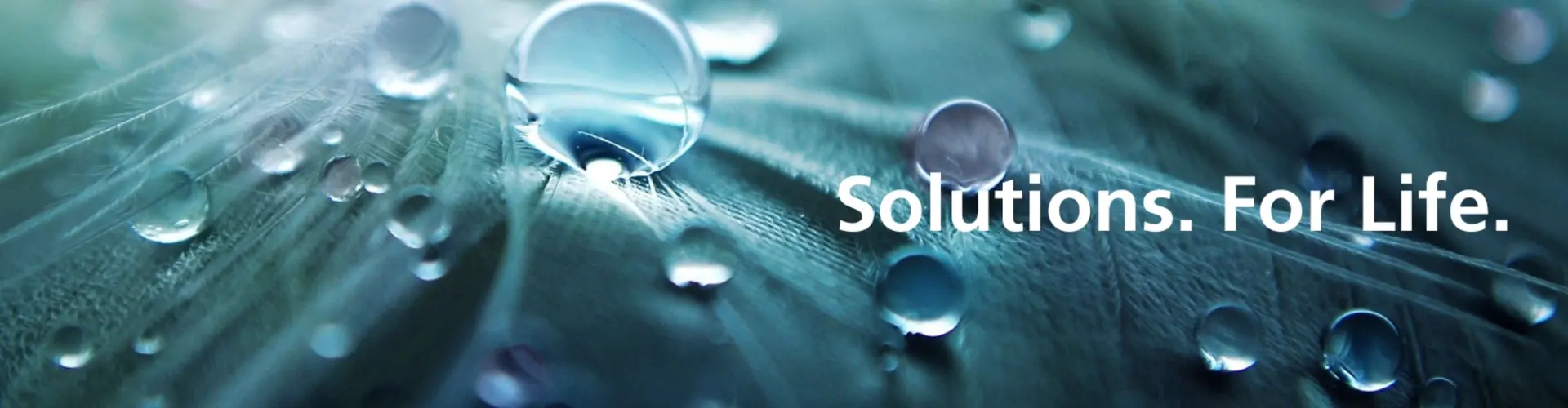 KSB Service GmbH cover