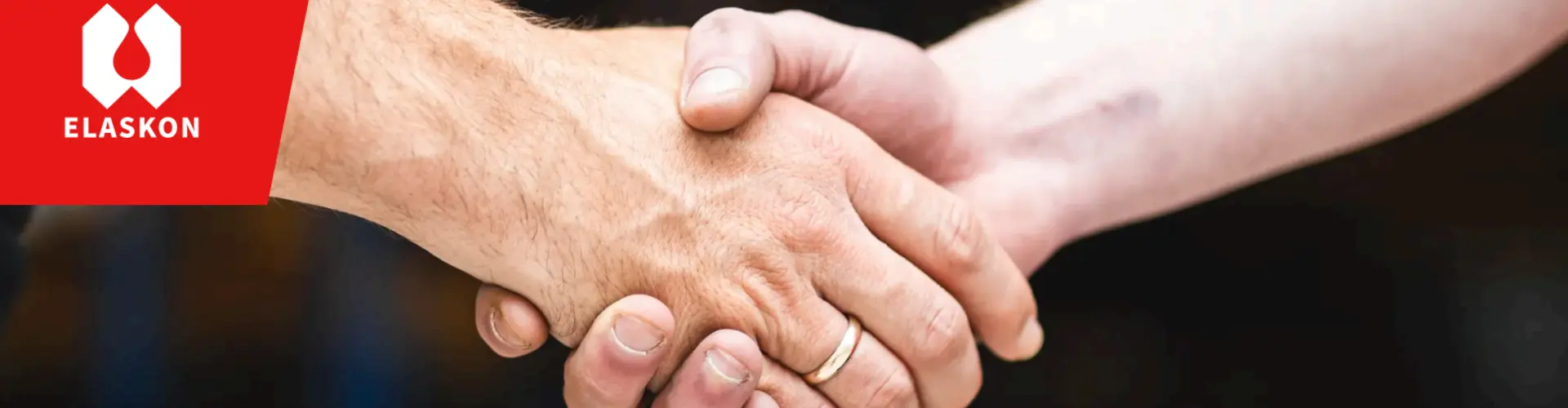 ELASKON Sachsen GmbH & Co. KG cover